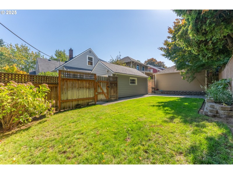 Backyard