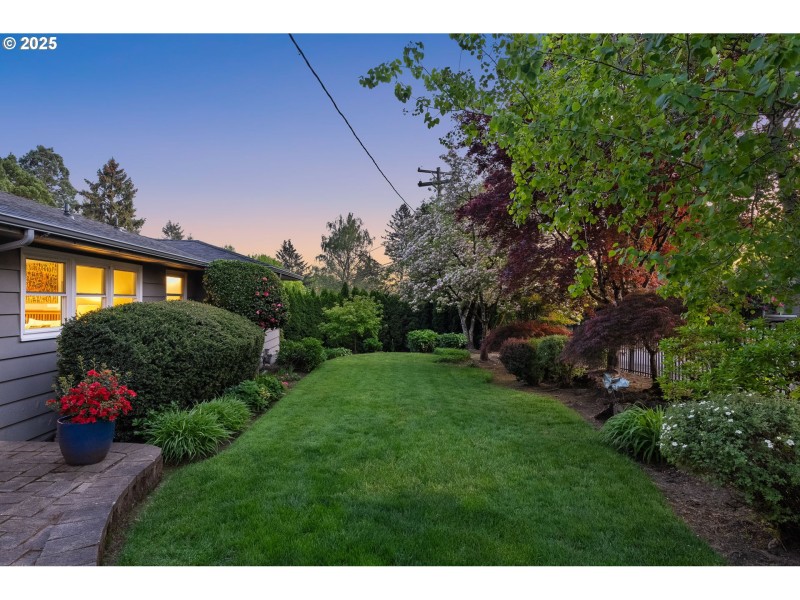 Front Yard