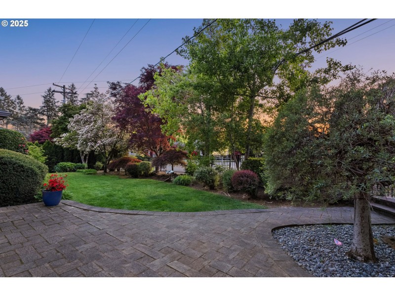 Front Yard