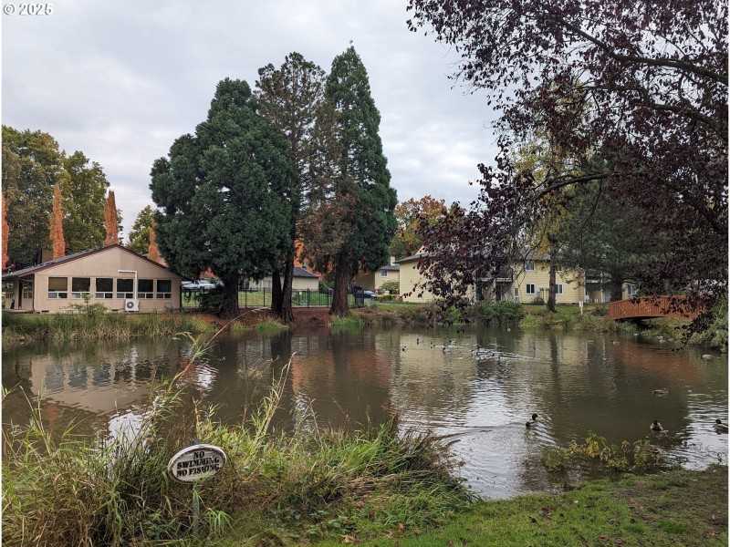Community Amenities