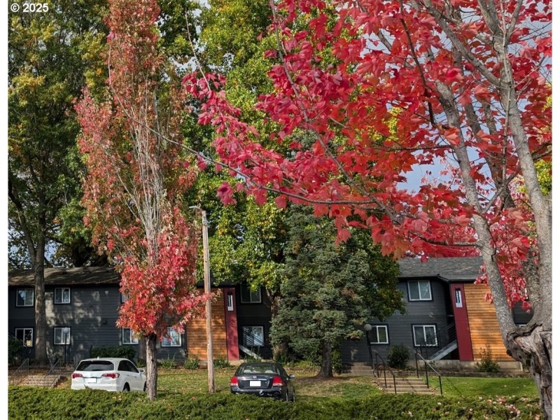 Community Amenities