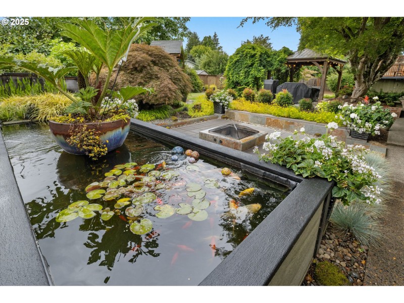 Pond
