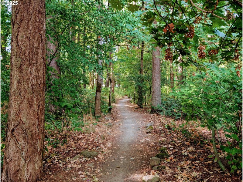 Neighborhood Park