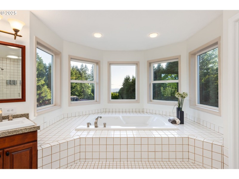 Owner's Suite Bathroom