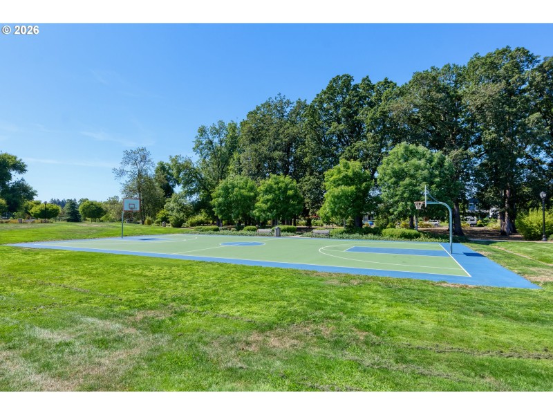 Community Basketball