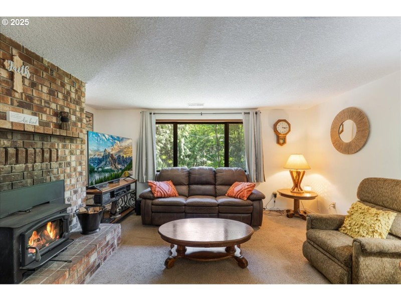 Fireplace Wood Burning Stove/Insert