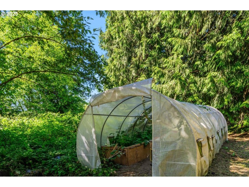 Greenhouse