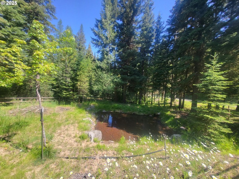 Pond
