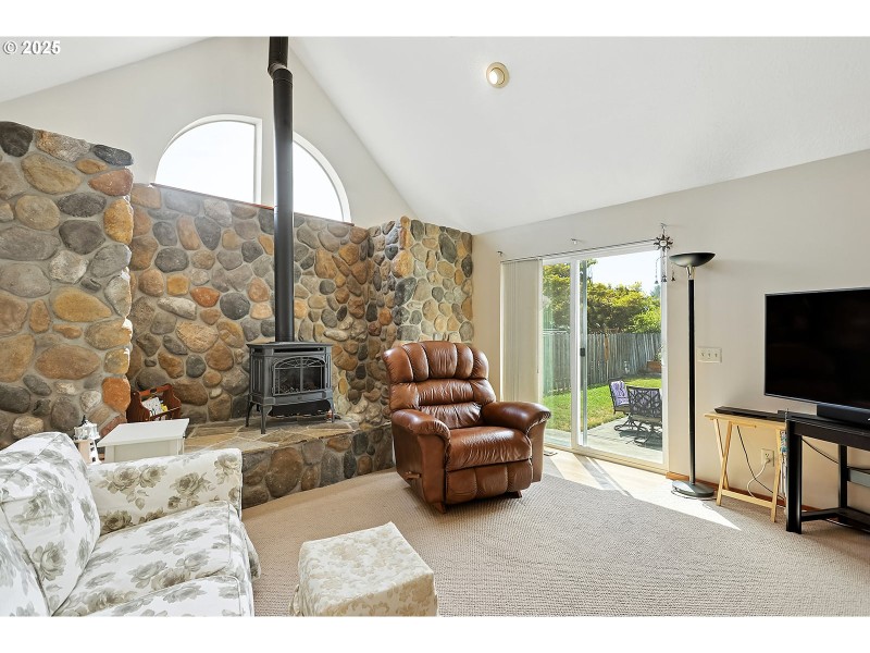 Fireplace Gas Burning Stove/Insert