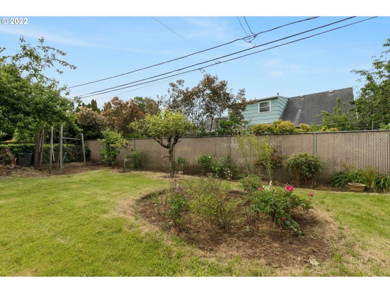 Yard