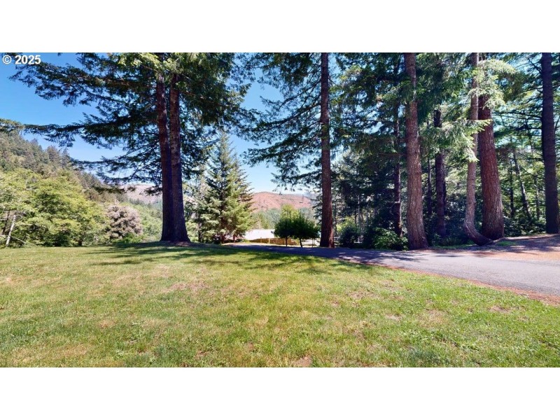 Front Yard