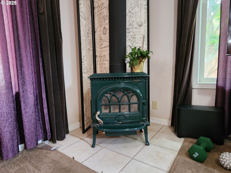 Fireplace Wood Burning Stove/Insert