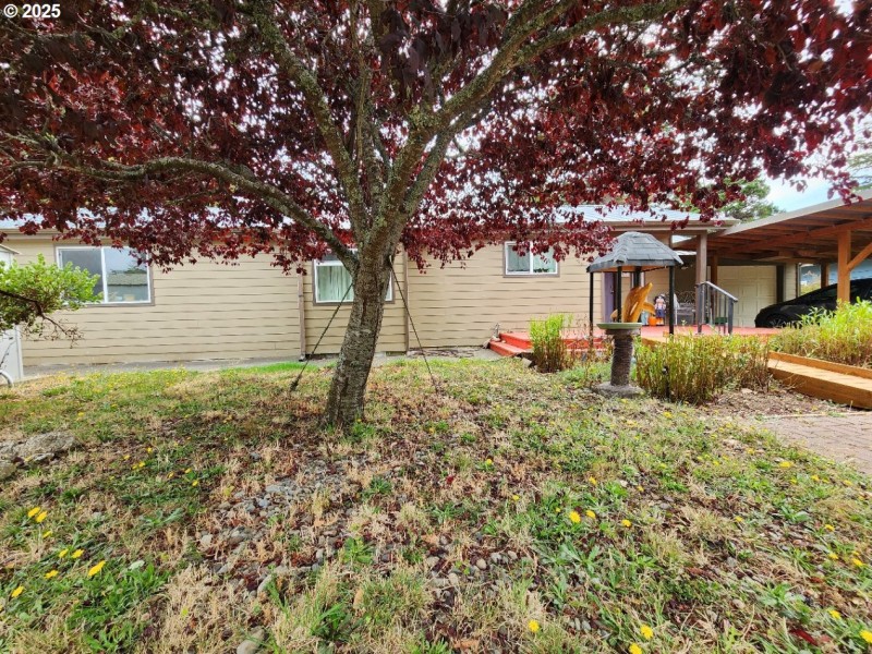 Front Yard