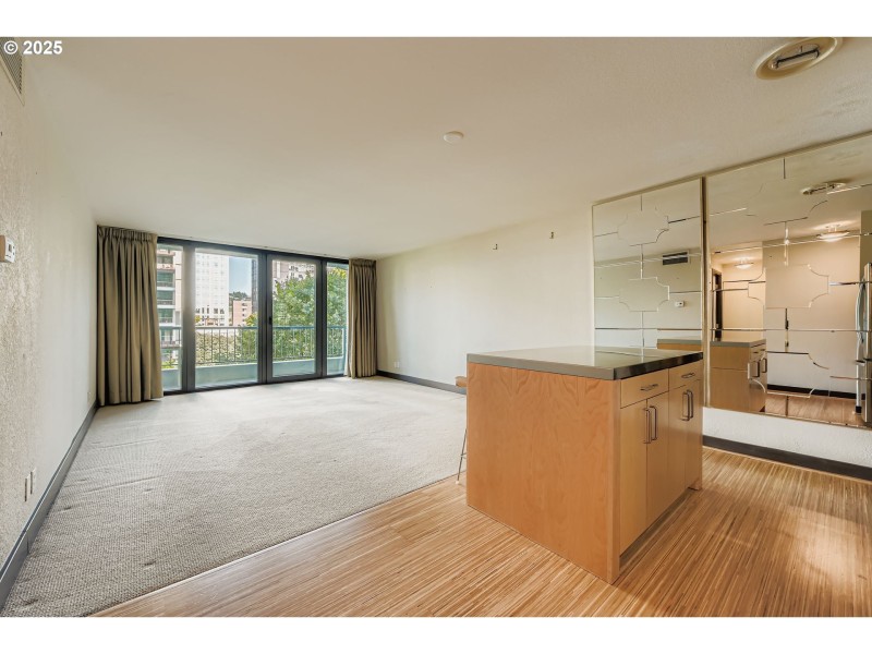 Kitchen/Living Room