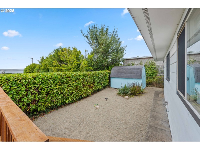 Backyard