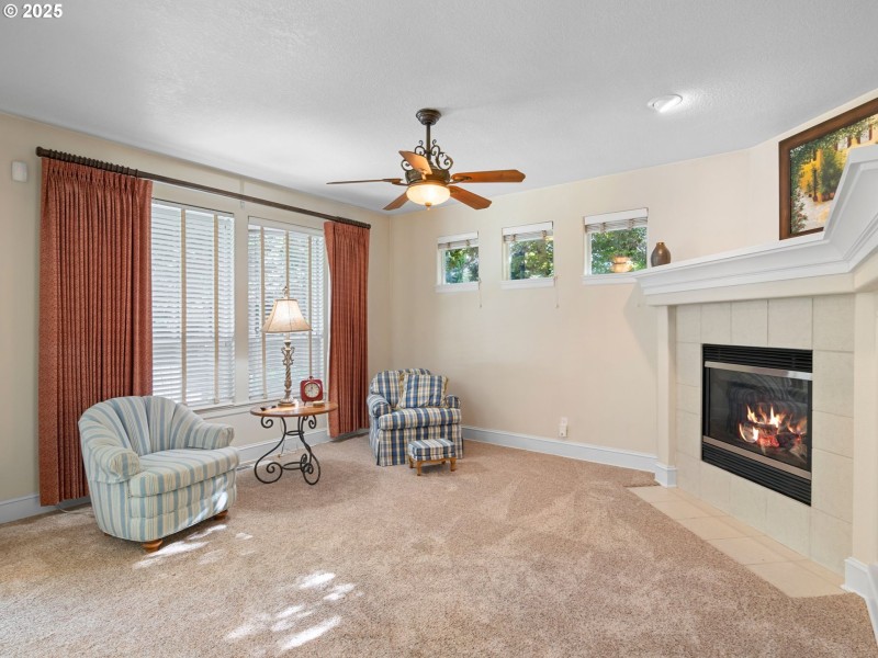 Fireplace Gas