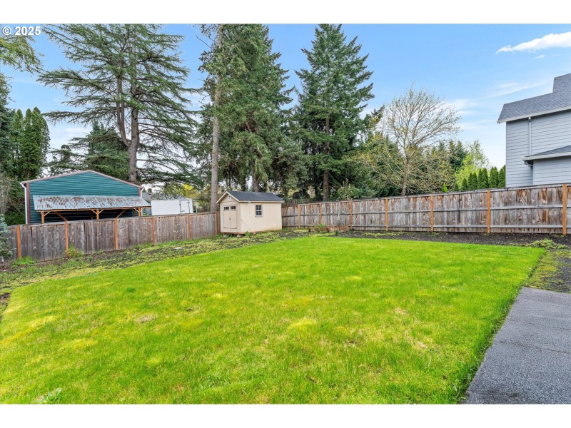 Backyard