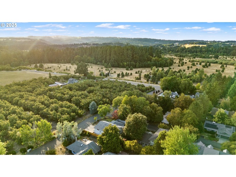 Drone View/UAV