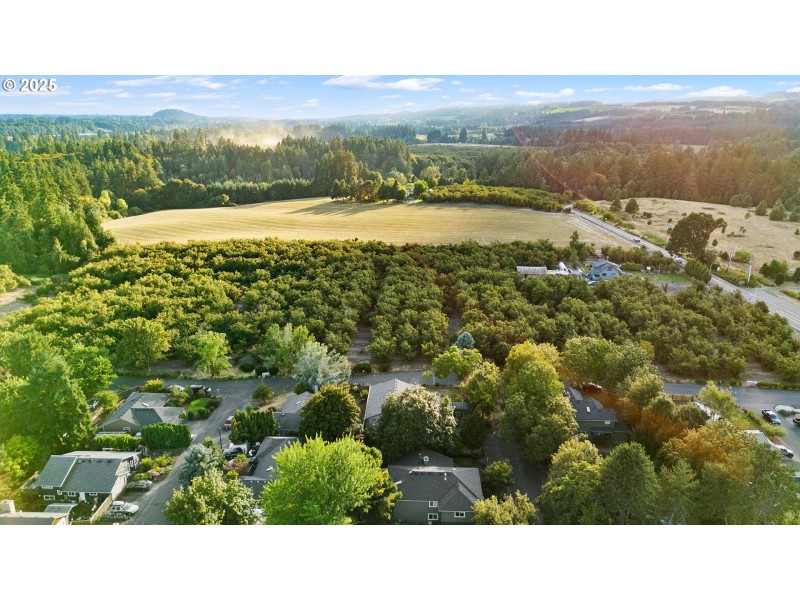 Drone View/UAV