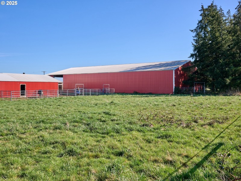 Arena