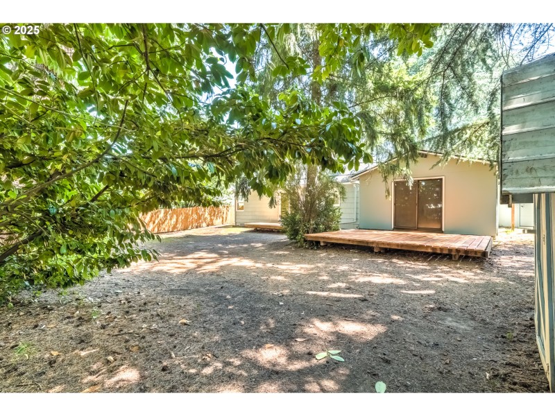 Backyard
