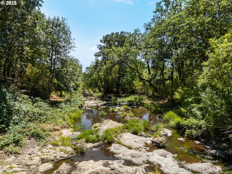 Creek