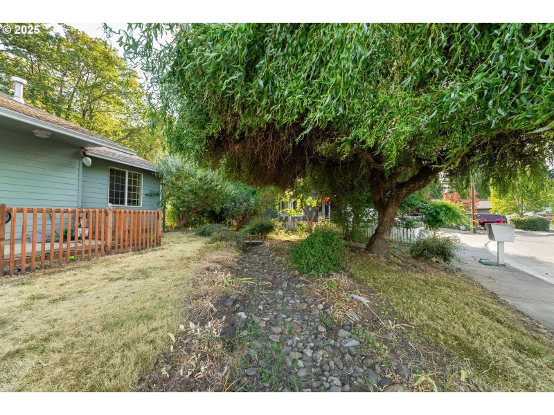 Front Yard