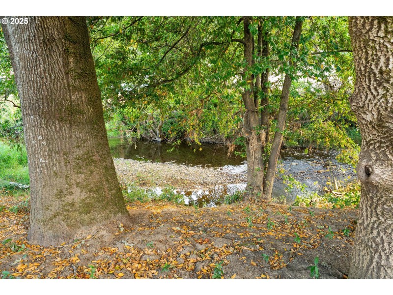 Creek