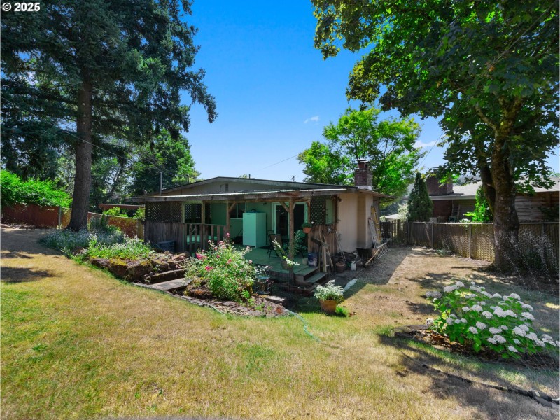 Backyard