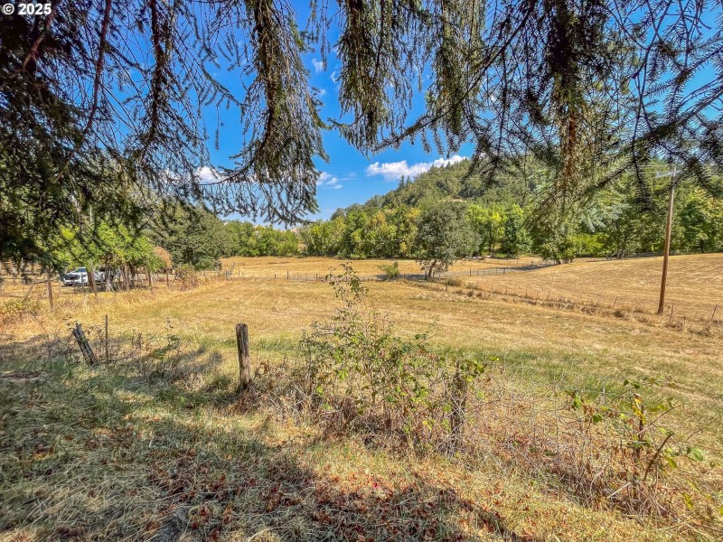 Pasture