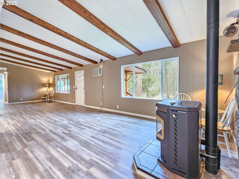 Fireplace Pellet Stove