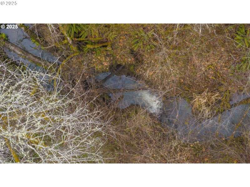 Creek