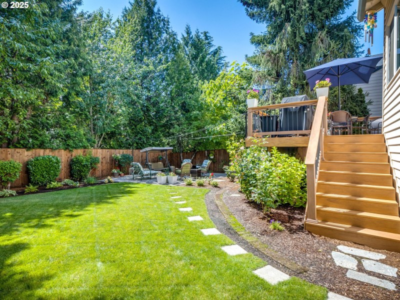Backyard