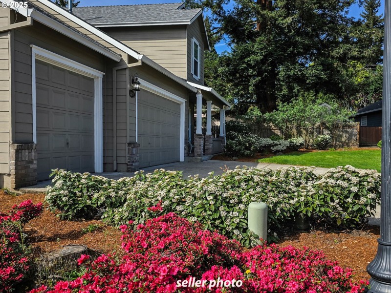 Front Yard