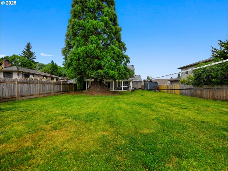 Backyard