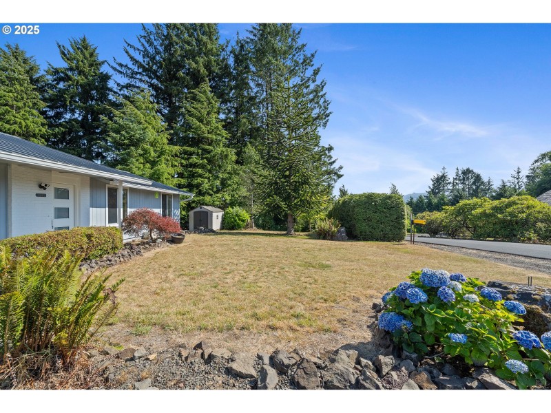 Front Yard