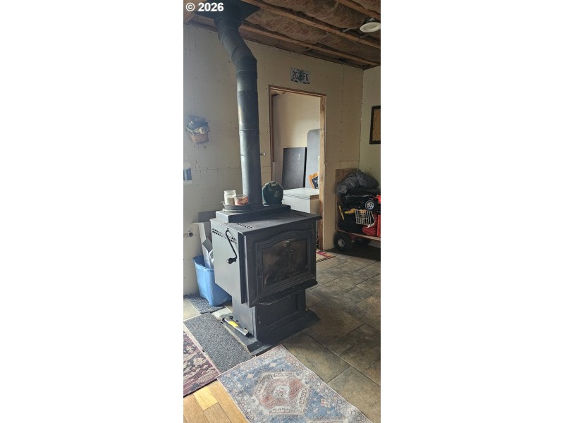 Fireplace Wood Burning Stove/Insert