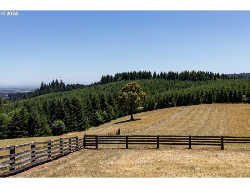 Pasture