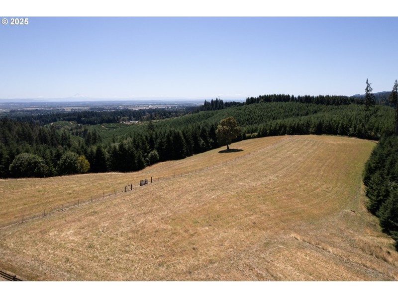 Pasture