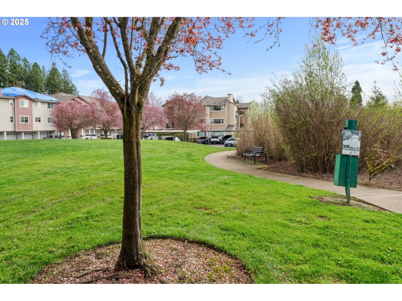 Community Amenities