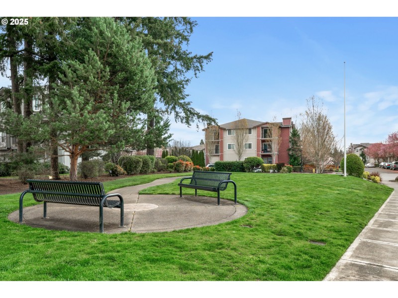 Community Amenities