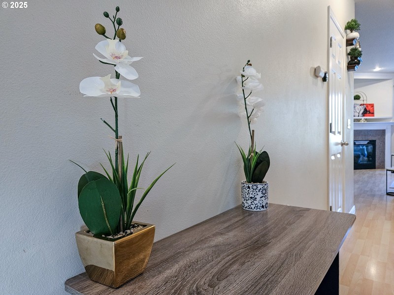 Entrance/Foyer