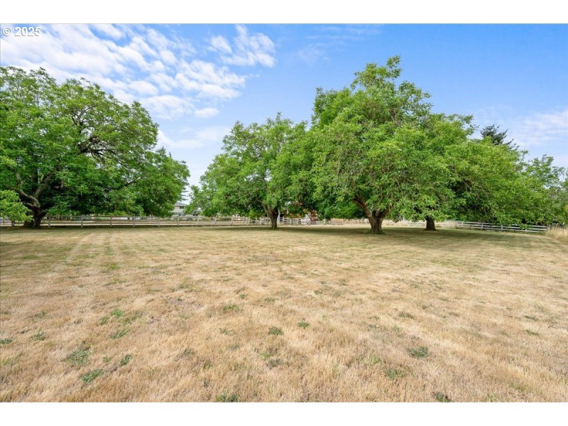 Pasture