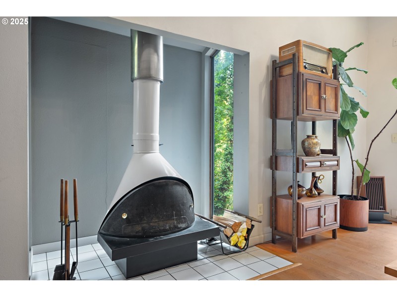 Fireplace Wood Burning Stove/Insert