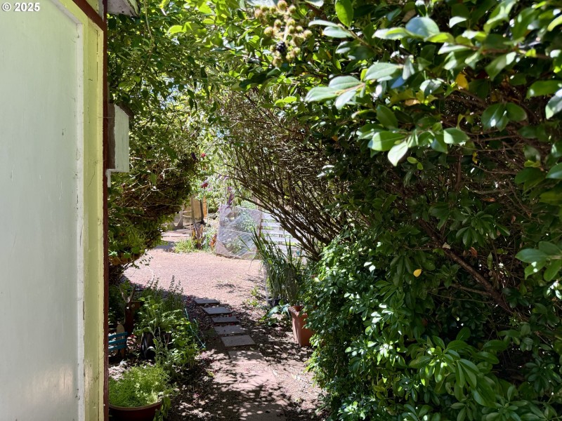 Yard