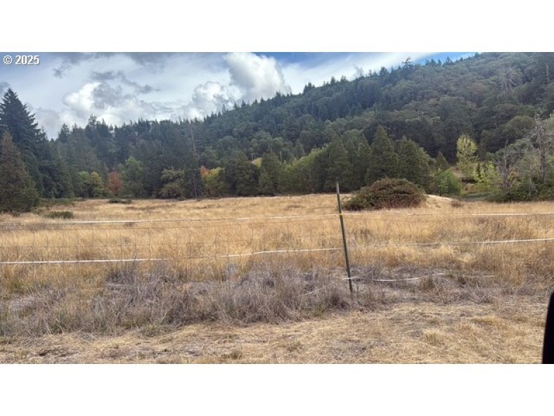 Pasture