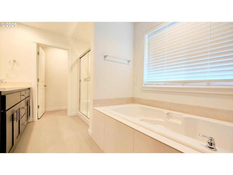 Owner's Suite Bathroom