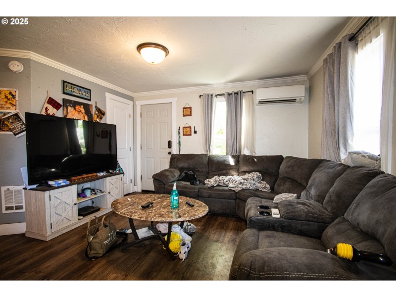 Living Room/Entrance