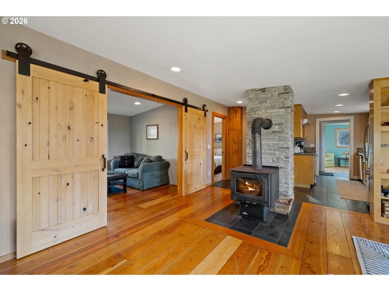 Fireplace Wood Burning Stove/Insert