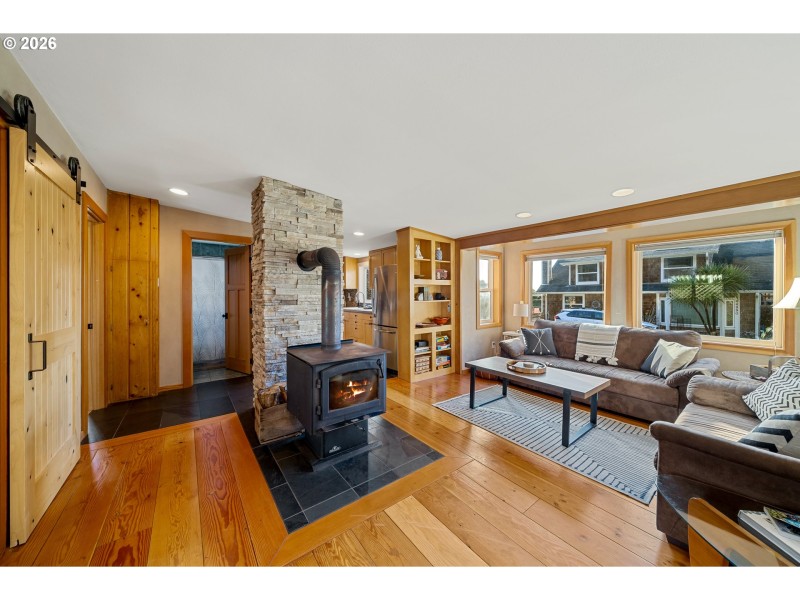 Fireplace Wood Burning Stove/Insert